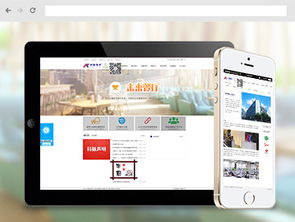 沙漠風(fēng)網(wǎng)站建設(shè)公司 為軟件企業(yè)打造卓越在線門戶的典范